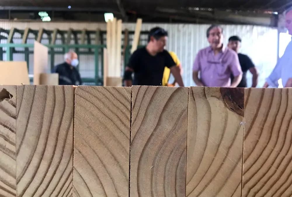Detalle de las tablas de un panel DLT y el equipo de fabricación en taller